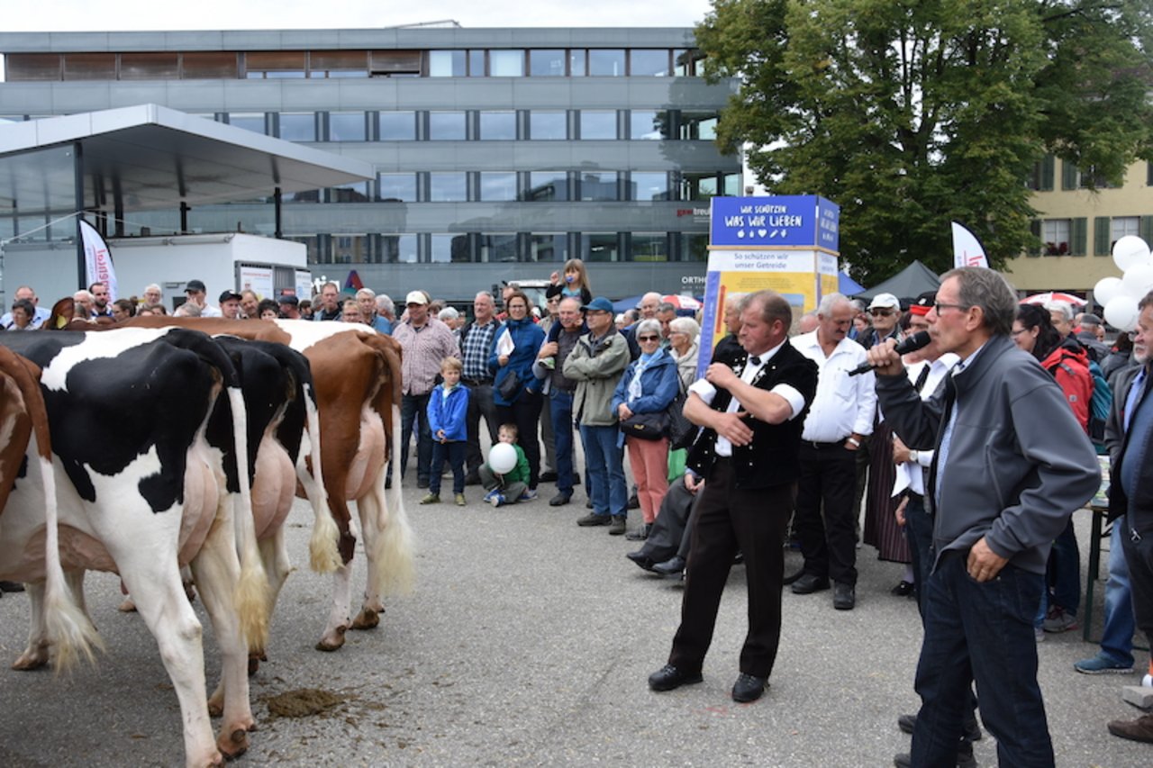 Kühe Richten und kommentieren am Solothurner Chästag vor städtischem und ländlichem Publikum. Karl Heeb kommentiert und erklärt, Rolf Dummermuth richtet. (Bild Solothurner Bauernverband)