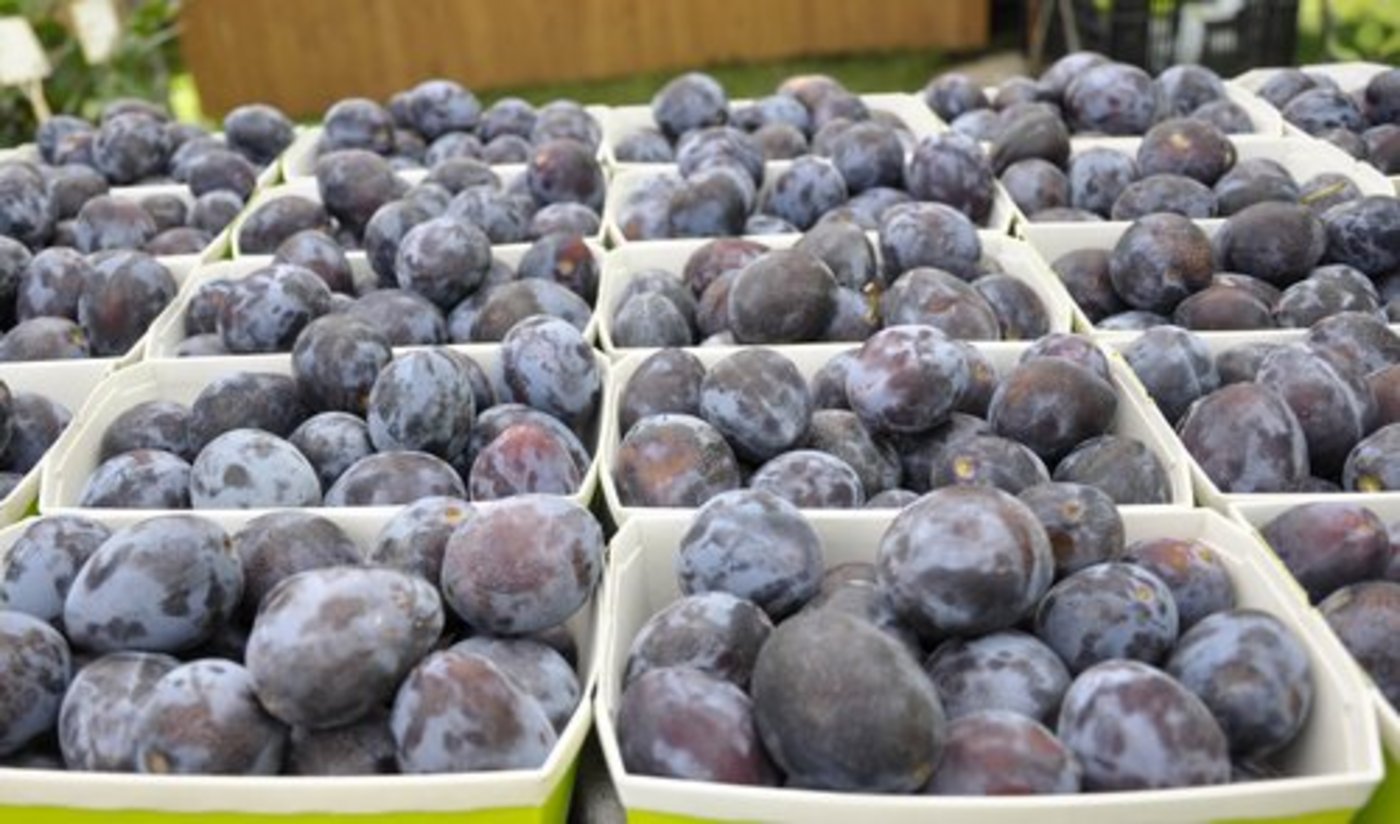 Besonders Kernobst wurde öfters für Angebotsaktionen genutzt. (Bild lid)