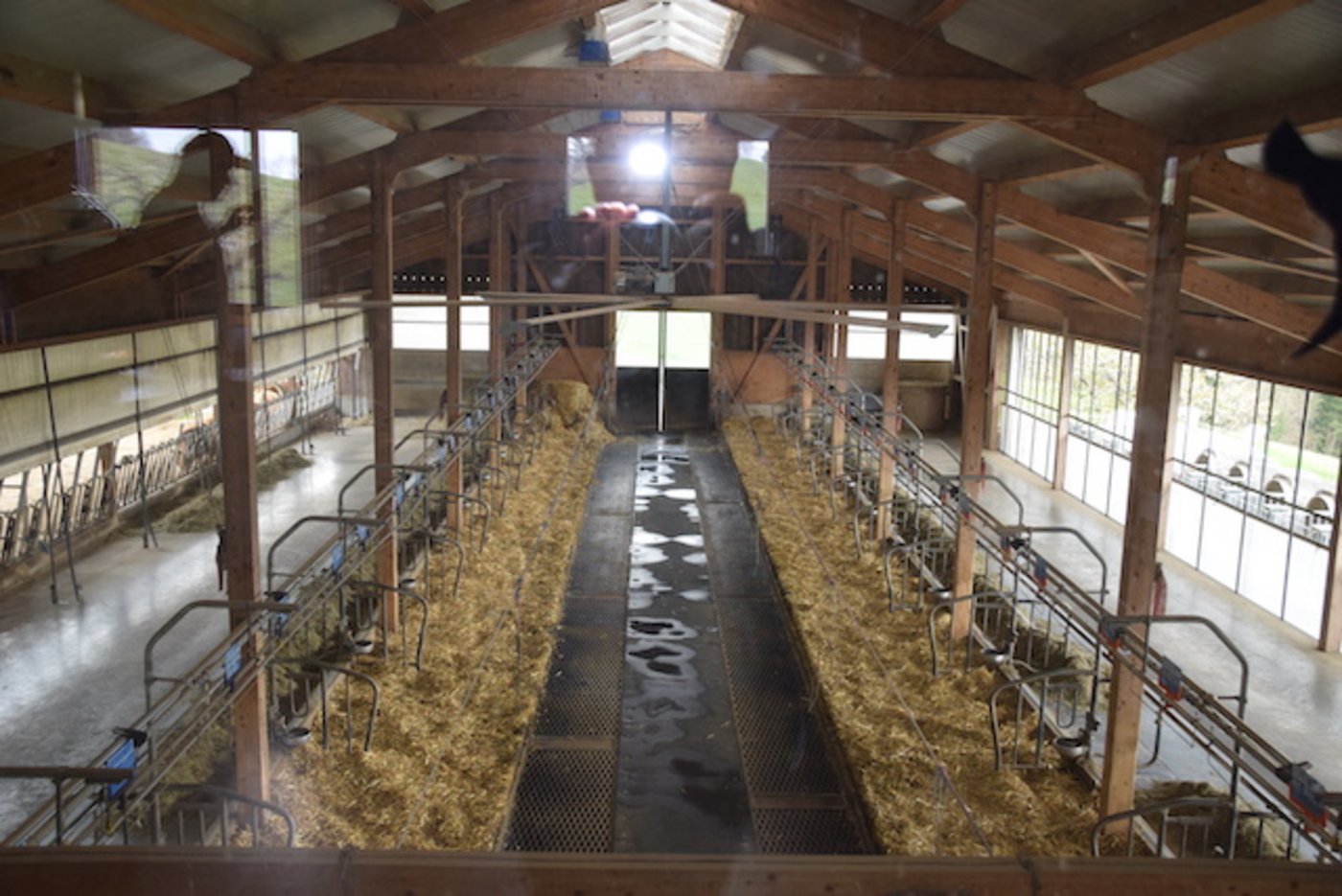 Der leere Stall von oben aus dem Züchterstübli fotografiert.