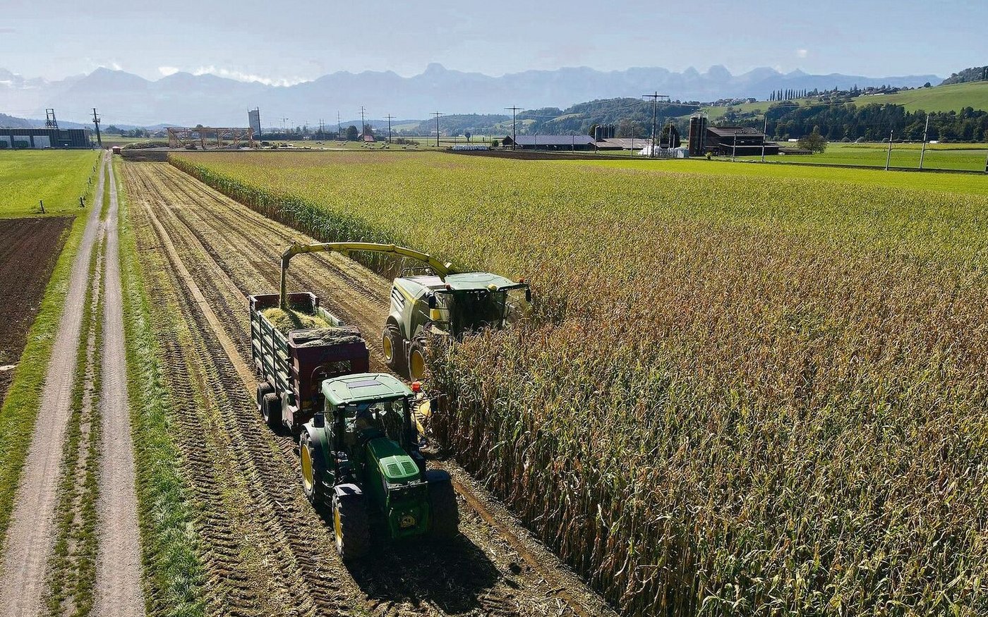 Der Wetterbericht verspricht für die kommenden Tage trockene, warme Witterung. Die Erntebedingungen für den Silomais sind also geradezu ideal.