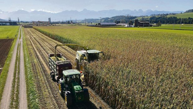 Der Wetterbericht verspricht für die kommenden Tage trockene, warme Witterung. Die Erntebedingungen für den Silomais sind also geradezu ideal.