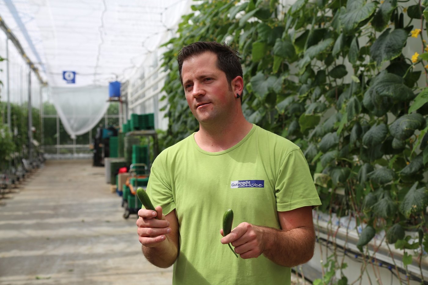 Pascal Gutknecht präsentierte an einer Medienorientierung die Snackgurken. (Bild hb)