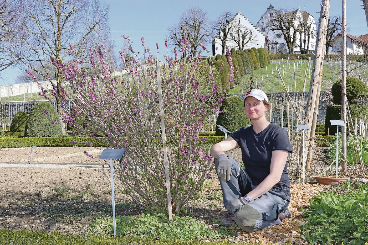 Lea Walzer, Leiterin des Nutz- und Lustgartens vom Schloss Wildegg, arbeitet mit historischer Kulisse im Rücken.(Bild Ruth Aerni)