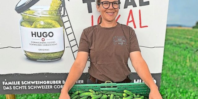 Die Ernte der Essiggurken hat auf dem Hof von Karoline Schweingruber früh angefangen. Eine reiche Ernte entlohnt die langen Arbeitstage.  