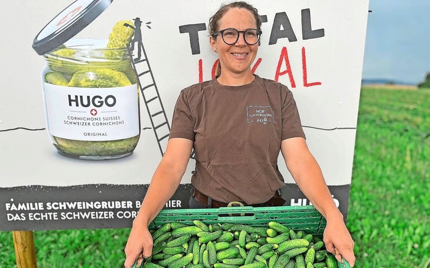 Die Ernte der Essiggurken hat auf dem Hof von Karoline Schweingruber früh angefangen. Eine reiche Ernte entlohnt die langen Arbeitstage.  