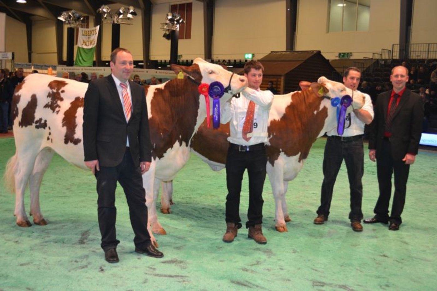 Junior Champion (links): La Tuilière Valfin Nakato, Jean-Claude und Danny Remond, Jongny / Reserve Junior Champion: Urbaniste Tarja, Frédéric Bovey, Prahins