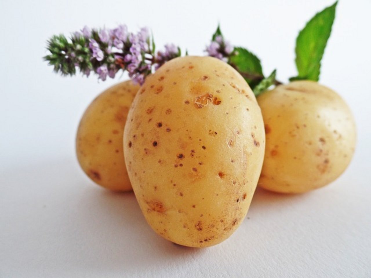 Konsumenten wollen perfekte Kartoffeln. (Bild pixaby)