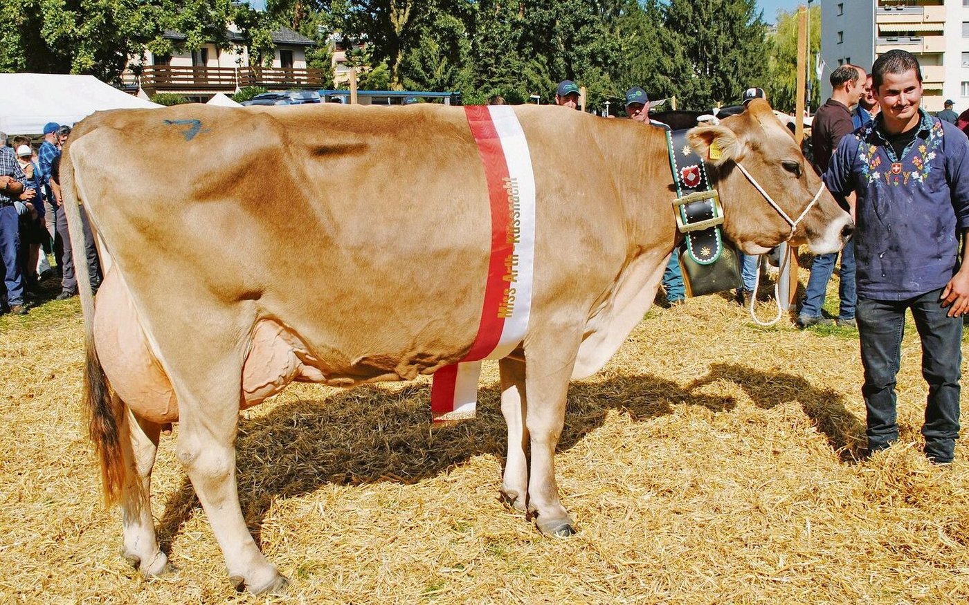 Die Titelverteidigerin Japser Justa von Armin Suter, Küssnacht, wurde erneut Miss BS.