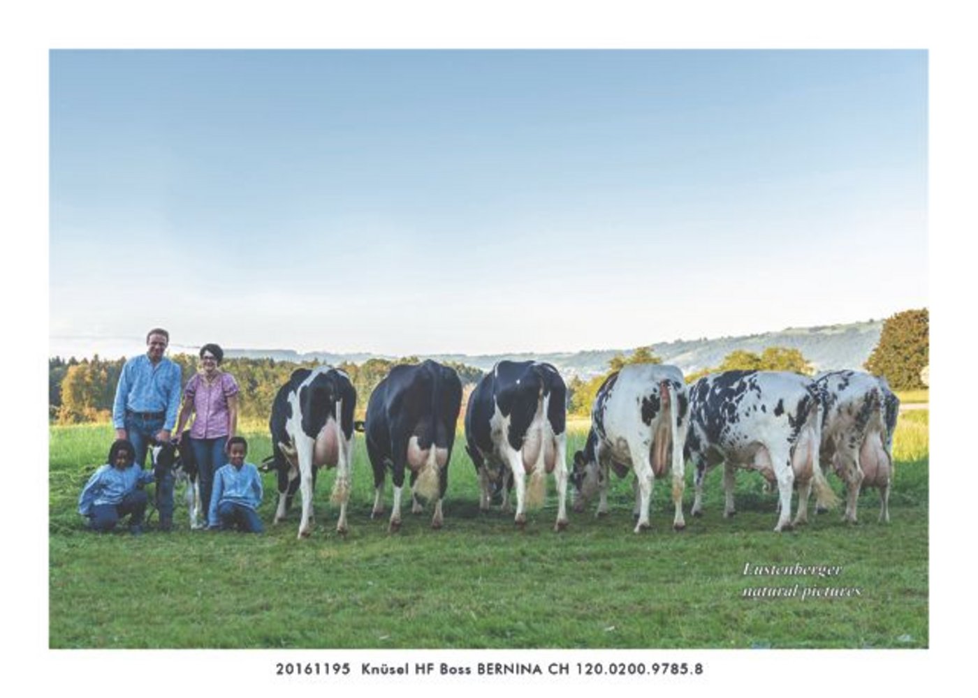 Knüssel Boss Bernina mit ihren Nachkommen. (Bild Lustenberger)