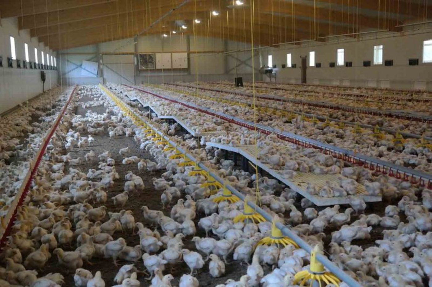 (Bild lid/Josef Kottmann)