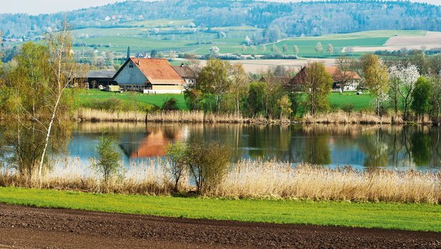 Pufferstreifen an einem See: Der Massnahmenplan Sauberes Wasser will das Schweizer Wasser, wie es der Name sagt, besser schützen. (Bild Agroscope)