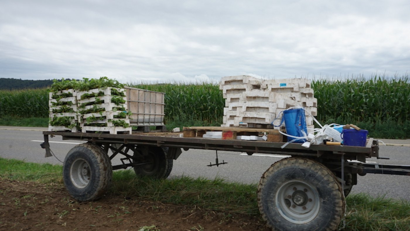 Der Traktor muss am Feldrand abgestellt werden, weil der Boden zu nass ist, um in das Feld zu fahren. (Bild lid)