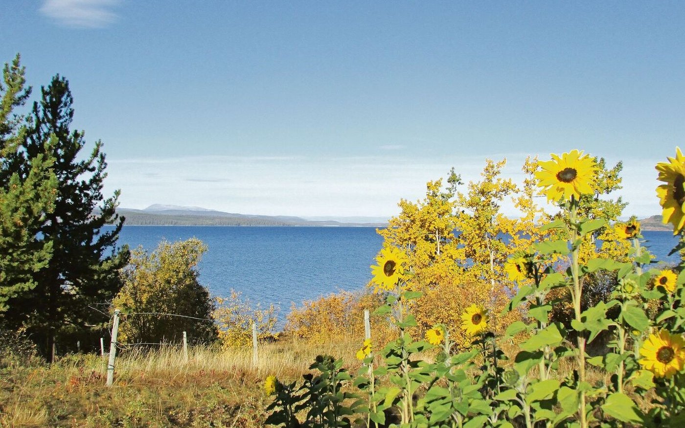 Es «herbstelet» am Ootsa Lake. Die dritte Jahreszeit bringt für die Ruckstuhls neue Herausforderungen. Neben dem Mehraufwand des grossen Umzugs gibt es jedoch auch steuerliche Vorteile in der neuen Heimat.  