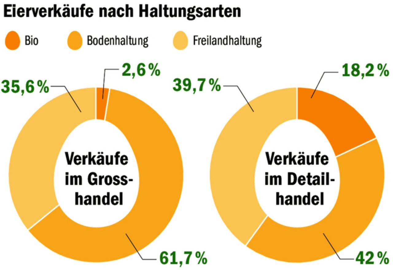 Während der Grosshandel in erster Linie nach dem Preis der Eier einkauft, ist dem Konsumenten im Detailhandel die Herkunft sehr wichtig.