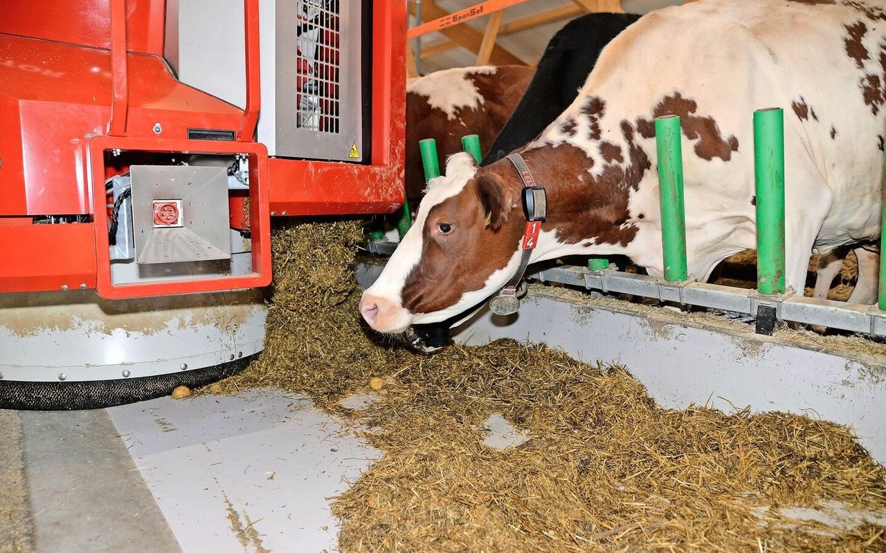 Melkroboter, Entmistungsroboter, Fütterungsroboter (Bild): Automatisierte Systeme sind in der landwirtschaftlichen Praxis schon längst verbreitet.