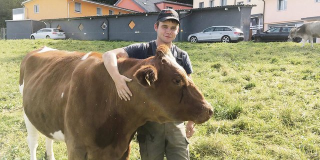 Michael Brunner hatte schon immer ein Faible für Kühe, auch wenn er zu Hause keinen Hof hat. (Bild zVg)