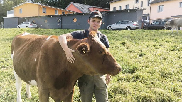 Michael Brunner hatte schon immer ein Faible für Kühe, auch wenn er zu Hause keinen Hof hat. (Bild zVg)