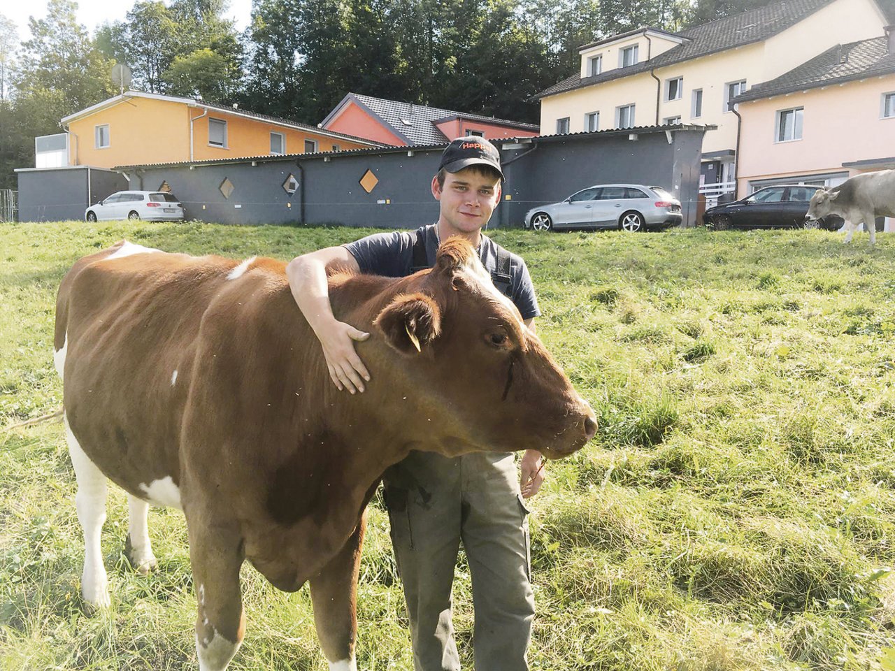 Michael Brunner hatte schon immer ein Faible für Kühe, auch wenn er zu Hause keinen Hof hat. (Bild zVg)