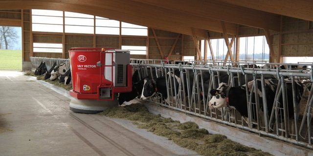 Melk- und Entmistungsroboter kommen laut Umfrage auf mehr Schweizer Betrieben zum Einsatz, als Futternachschieberoboter. (Bild BauZ)