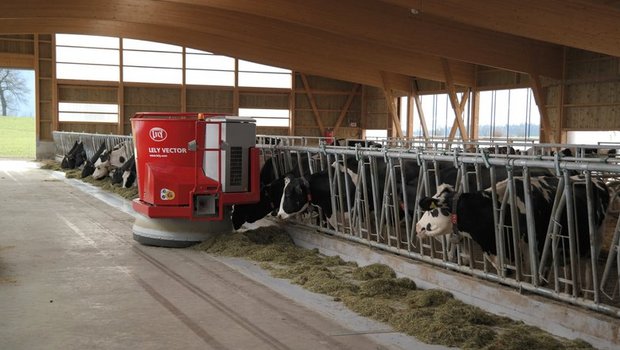Melk- und Entmistungsroboter kommen laut Umfrage auf mehr Schweizer Betrieben zum Einsatz, als Futternachschieberoboter. (Bild BauZ)