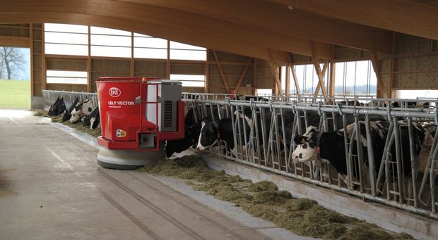 Melk- und Entmistungsroboter kommen laut Umfrage auf mehr Schweizer Betrieben zum Einsatz, als Futternachschieberoboter. (Bild BauZ)