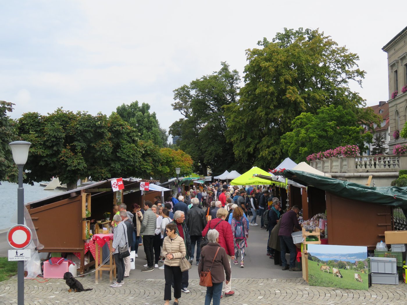 Das Angebot am Markt war sehr vielfältig.