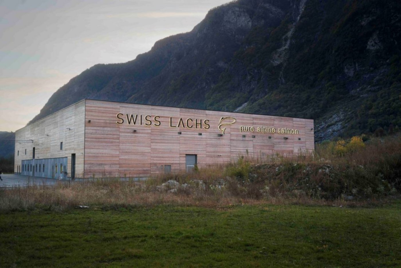 Im Misox werden bis zu 600 Tonnen Lachs pro Jahr produziert. Möglich macht das Swiss Lachs. (Bild zVg)