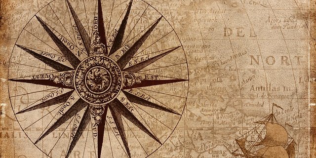 In Sachen Artenvielfalt gibt es doch noch weisse Flecken auf der Landkarte. Für den Naturschutz gilt es nun, diese Wissenslücken zu füllen. (Bild PIxabay)