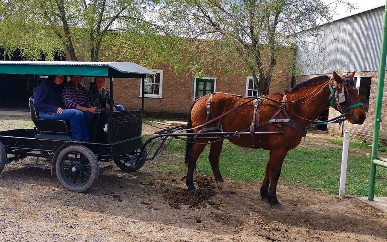 Egon Tschol, wie er mit seiner Frau und seiner Tochter auf dem Einspänner-Buggy einer Mennoniten-Familie durch die sandige Hauptstrasse der Kolonie fährt.