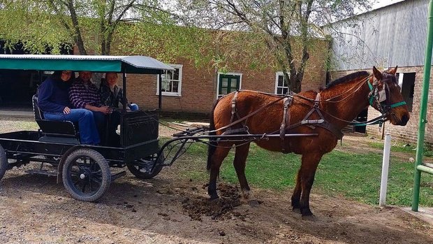 Egon Tschol, wie er Egon Tschol, wie er mit seiner Frau und seiner Tochter auf dem Einspänner-Buggy einer Mennoniten-Familie durch die sandige Hauptstrasse der Kolonie fährt.