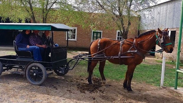 Egon Tschol, wie er Egon Tschol, wie er mit seiner Frau und seiner Tochter auf dem Einspänner-Buggy einer Mennoniten-Familie durch die sandige Hauptstrasse der Kolonie fährt.