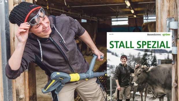 Stall Spezial