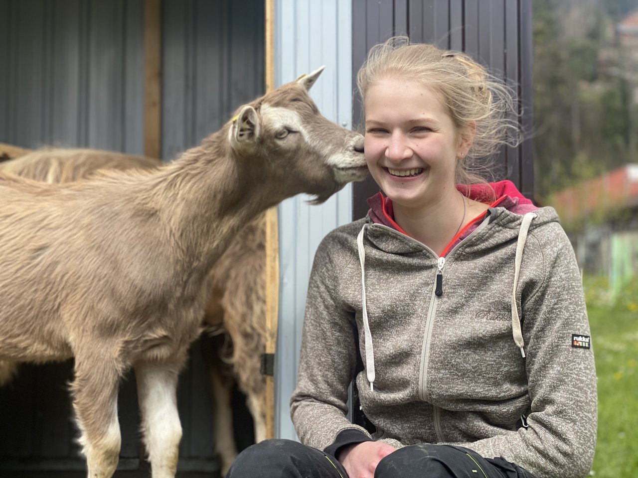 Ein Küsschen in Ehren: Die vorwitzigen Ziegen gehören dem Sohn des Lehrmeisters von Jessica Bissig. (Bilder Jeanne Woodtli/BauernZeitung)