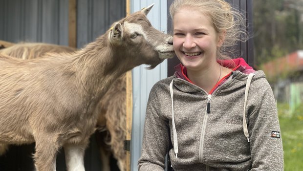 Ein Küsschen in Ehren: Die vorwitzigen Ziegen gehören dem Sohn des Lehrmeisters von Jessica Bissig. (Bilder Jeanne Woodtli/BauernZeitung)