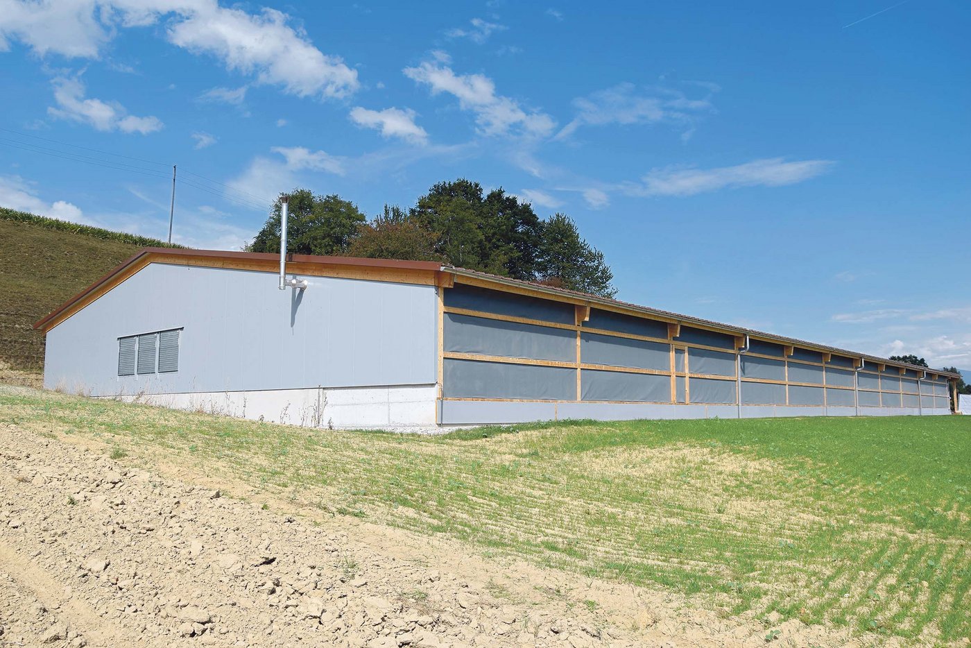 Die Geflügelmasthalle der Generationengemeinschaft Schlup hat Platz für 16'000 Masthühner. 