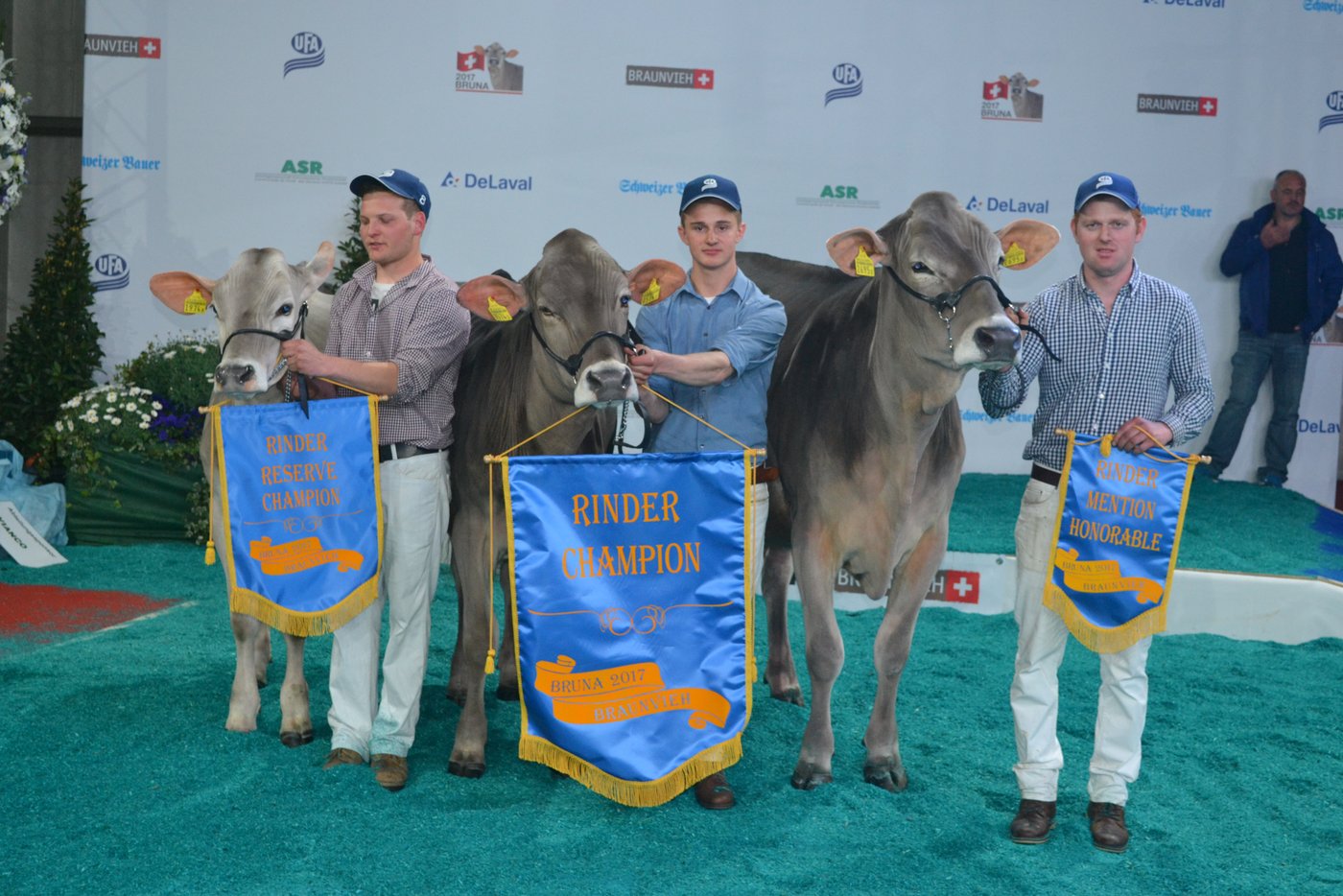  Die Podestplätze bei den Rindern (v. l. n. r.): Reserve: Blooming Bea von Simon Gisler aus Bürglen UR; Champion: Bachmanns BS Blooming Brenda von Marco Bachmann aus Seewen SO und die Mention Hofstetters Calvin Chelsea von Elmar Hofstetter aus Entlebuch LU. (Bilder Peter Fankhauser)
