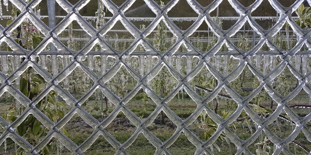 Frostschutzberegnung am 21. April 2017. (Bild ji)