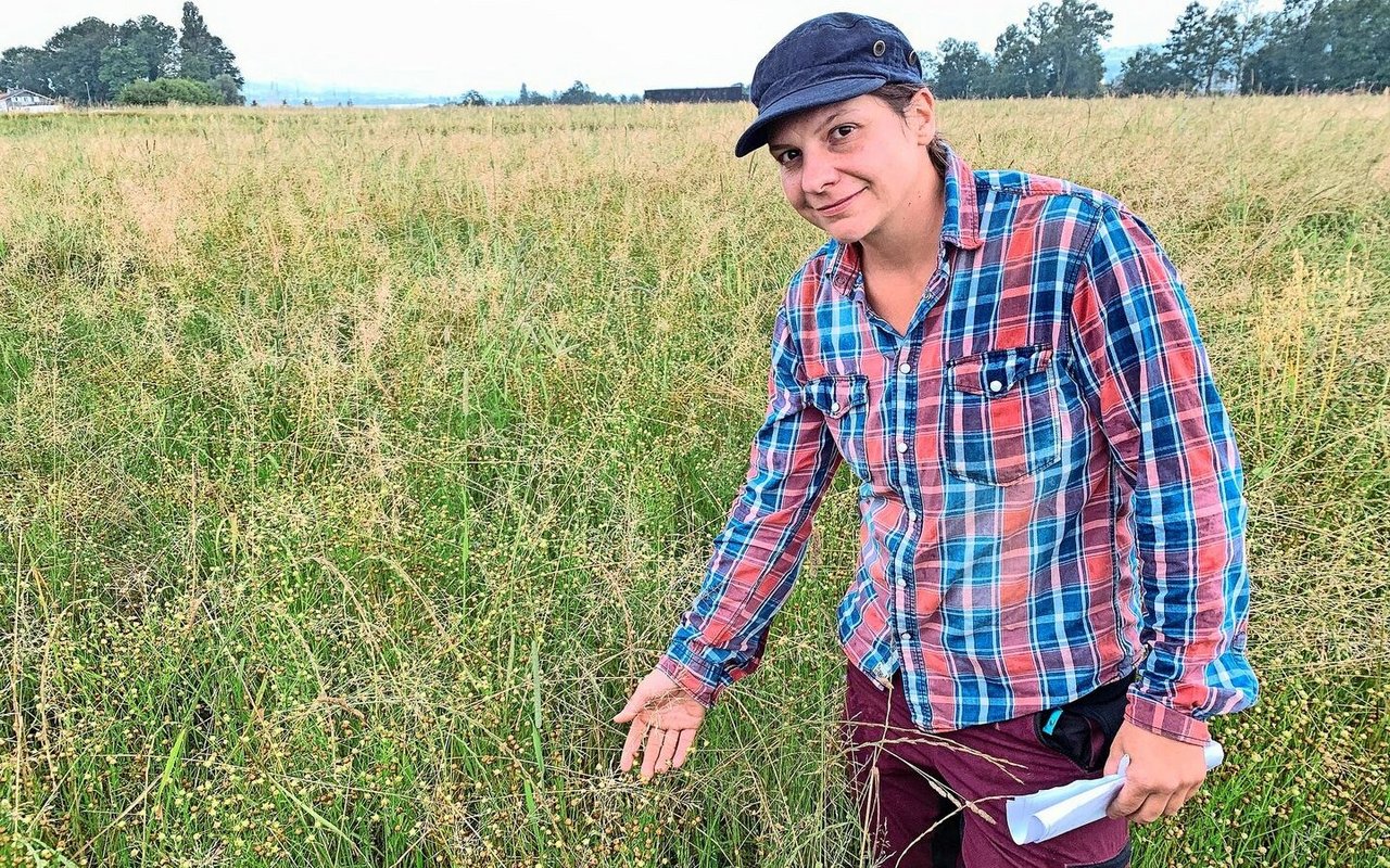 Gina Niederberger vor dem Feld mit Winterlein bei Sempach. Die Erträge lagen bisher unter den Erwartungen.