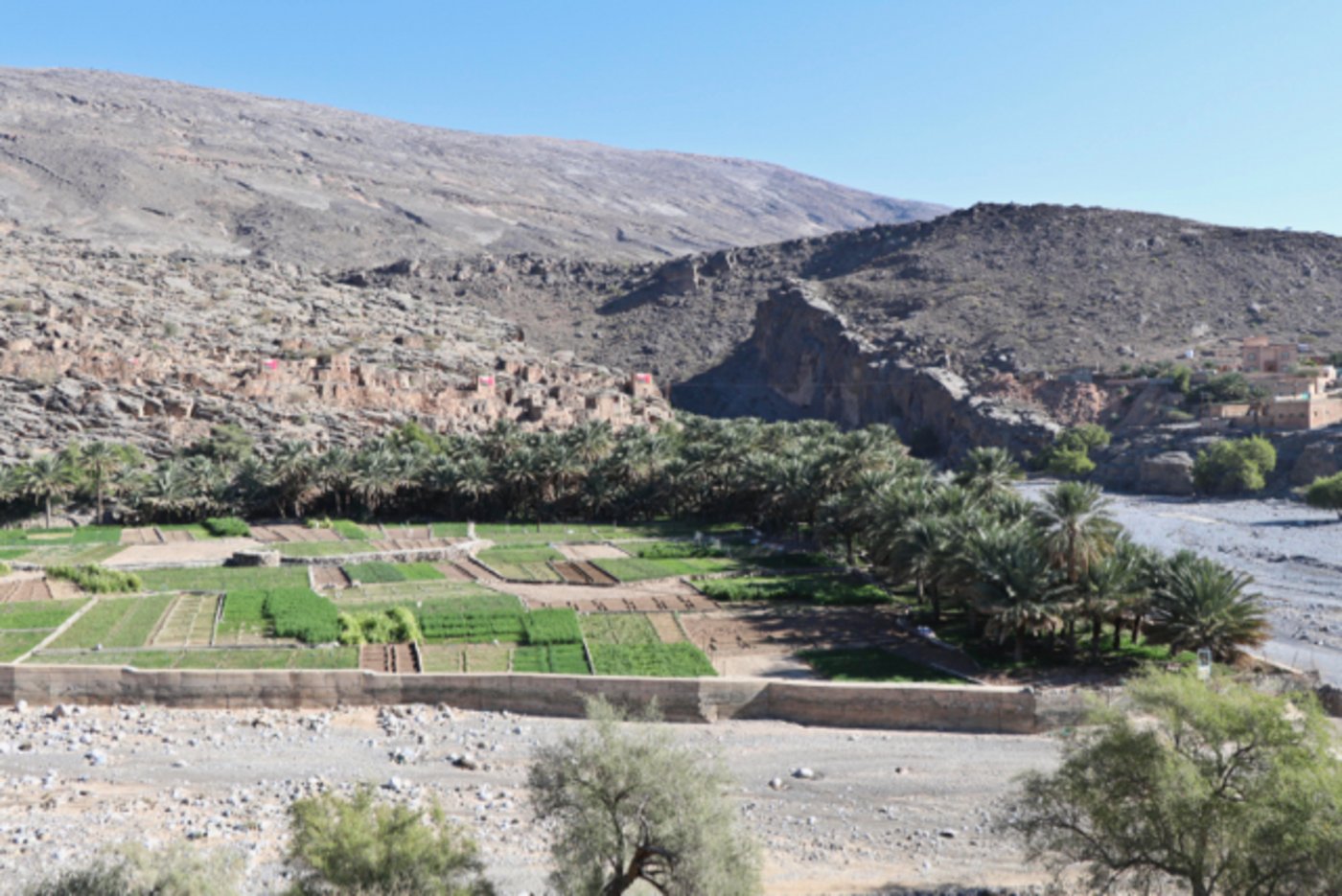 Nur in Oasen wie hier in Wadi Ghul können ganzjährig Felder angelegt werden.