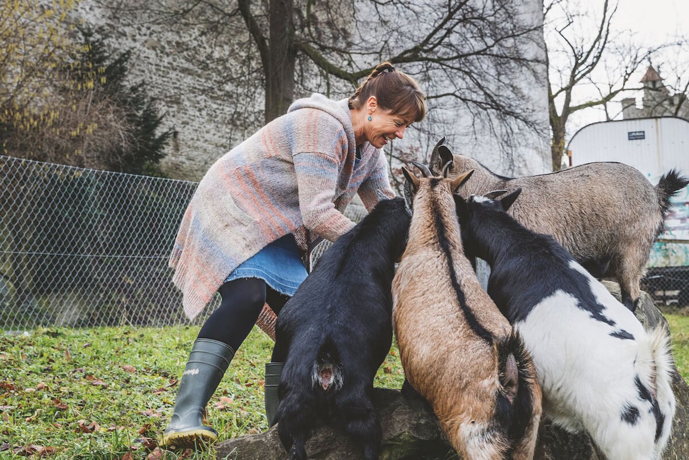 Pia Fassbind und ihre Ziegen: Gleich hinter der Museggmauer beginnt  eine der Obstweiden. (Foto: Johanna Bossart)