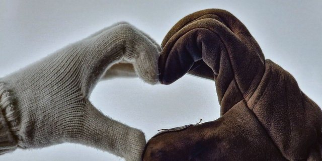 Ob sich Gegensätze anziehen, darüber sind sich nicht alle einig.