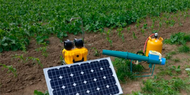 Das Gerät «Bird Alert» besteht in der Grundausrüstung aus einer Box mit der Software, einem Mikrofon, zwei Lautsprechern und einem Solarpanel. Hier zusätzlich abgebildet ist eine Gaskanone. (Bild zVg)