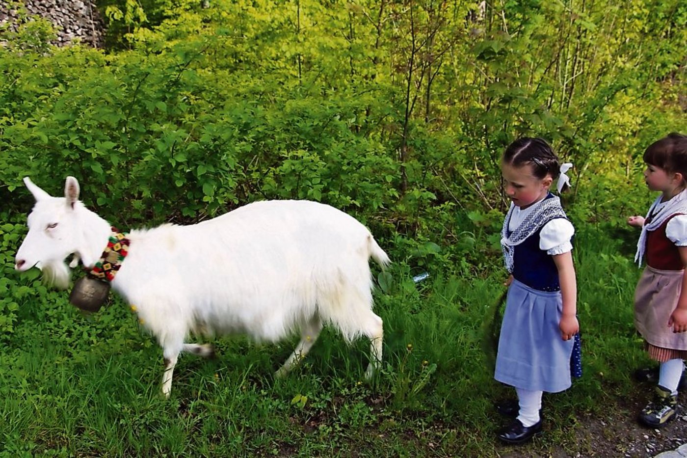 «Nicht zu weit ins Dickicht!», warnen die Geissmädchen Nadine (links) und Jeanine und jagen die Geiss wieder zurück auf die Strasse. 