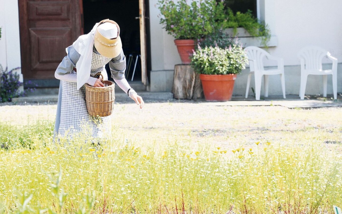 Handarbeit: Die Klosterfrauen pflücken die Kräuter und verarbeiten sie nach dem Trocknen zu verschiedenen Produkten.