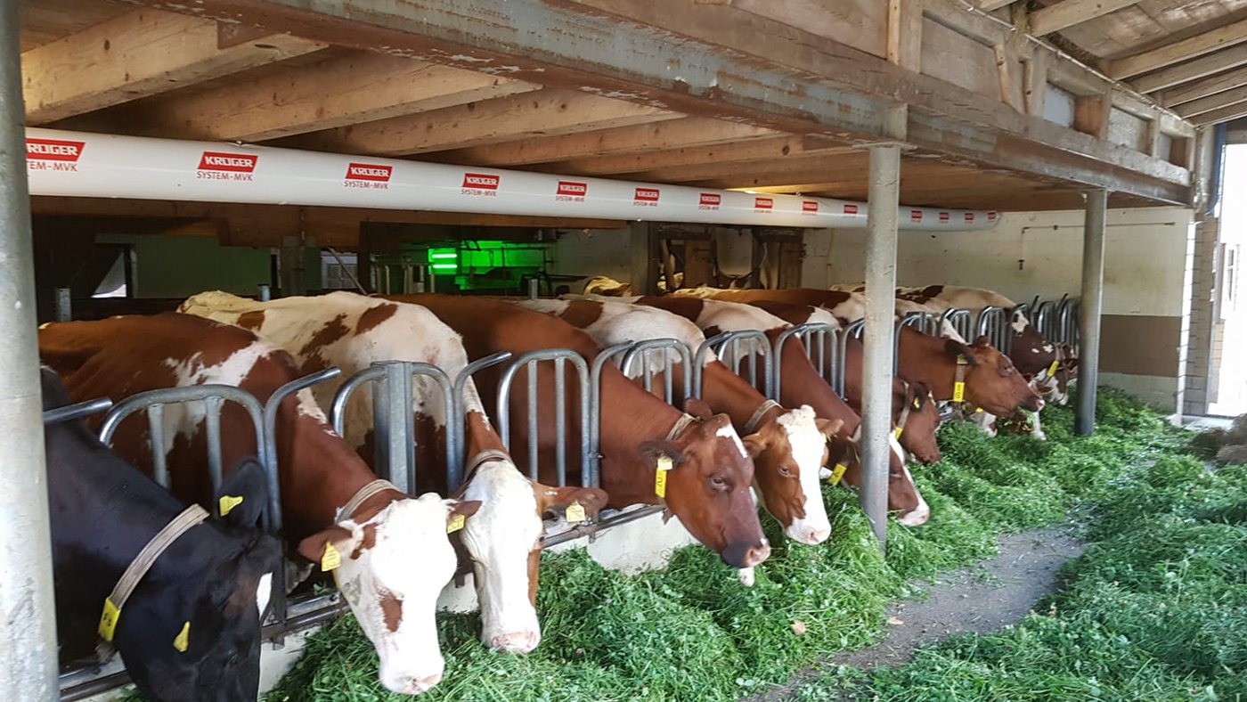 Lüftungssystem. (Bild Urs Kohler)