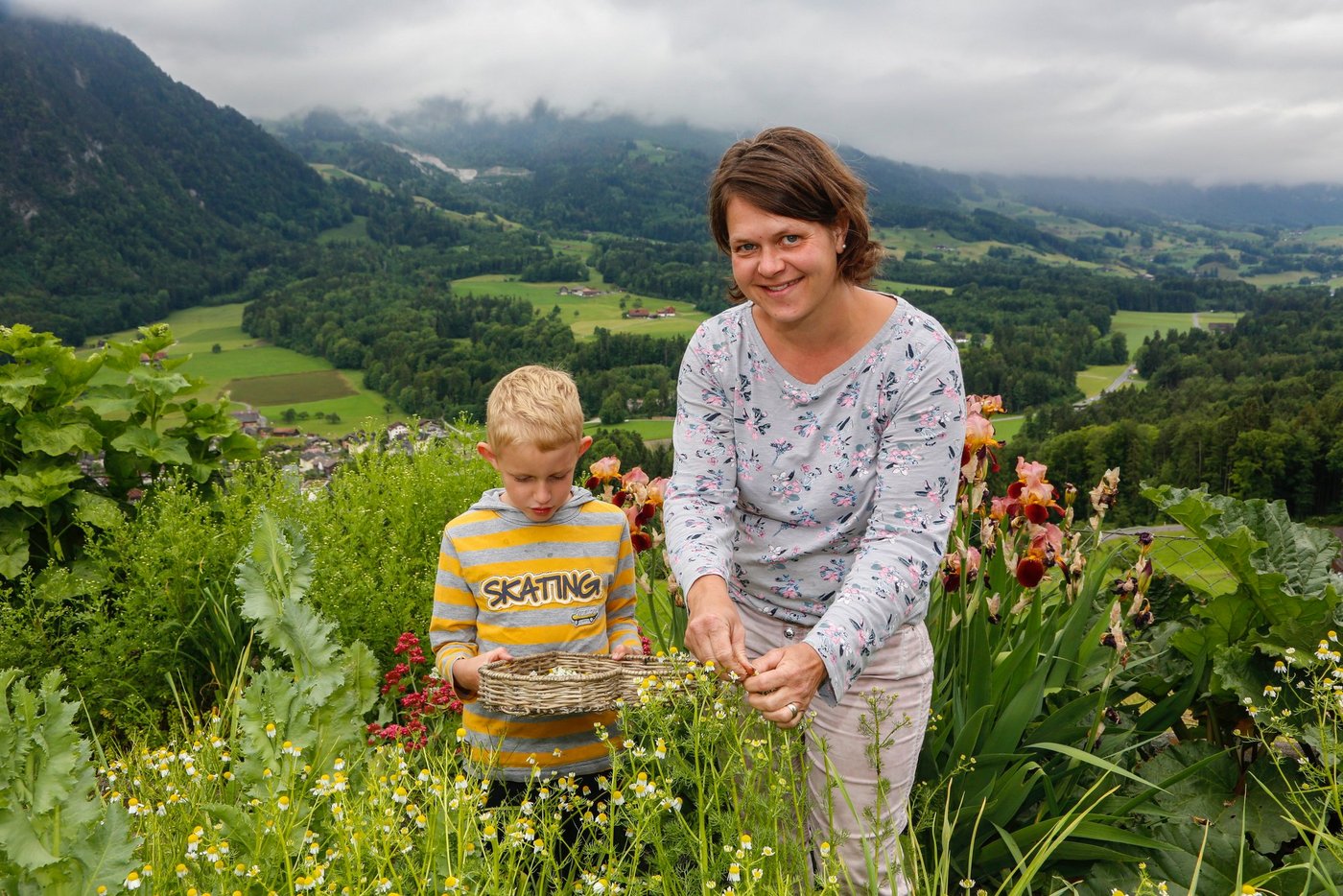 So geht das Kräuterpflücken einfacher: Sohn Manuel hält seinem Mami Helene Matter den Korb beim Pflücken der Kamillen für die Kräuterteemischung. (Bild Erika Rebsamen)