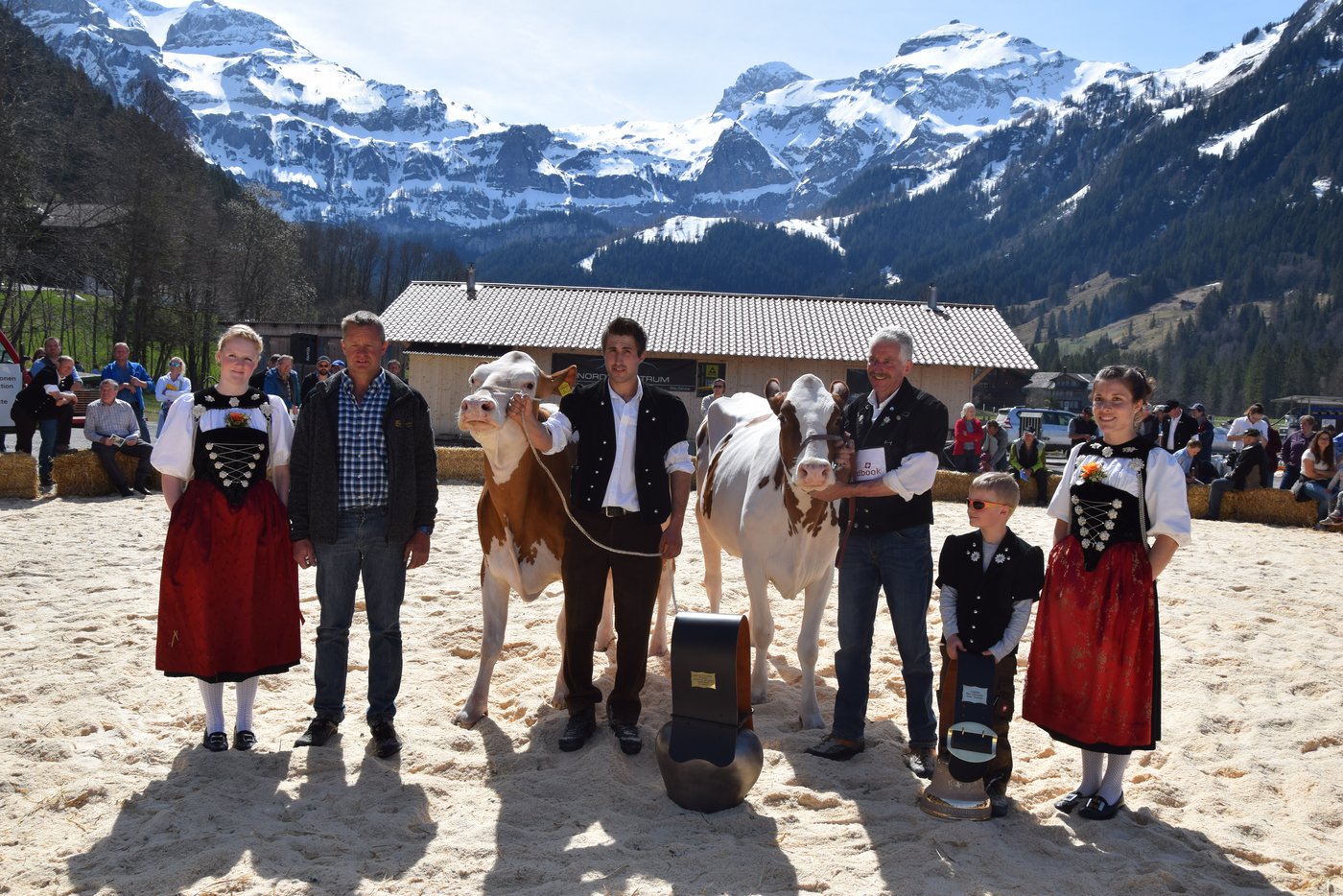Die Junior-Missen Swiss Fleckvieh. Miss: Astronom Fougere (links), Stefan Rufener aus der Oeschseite BE. Schöneuter: Pirmin Marianne von Hanspeter Durand aus Blangenburg BE.