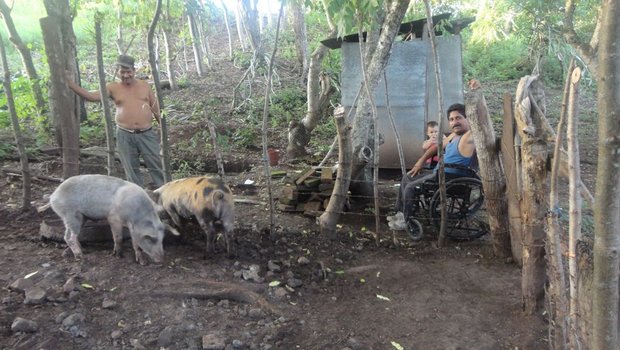 Lässt sich von seiner Behinderung nicht bremsen: Alvaro bei den Schweinen. (Bild Mirka Lötscher)