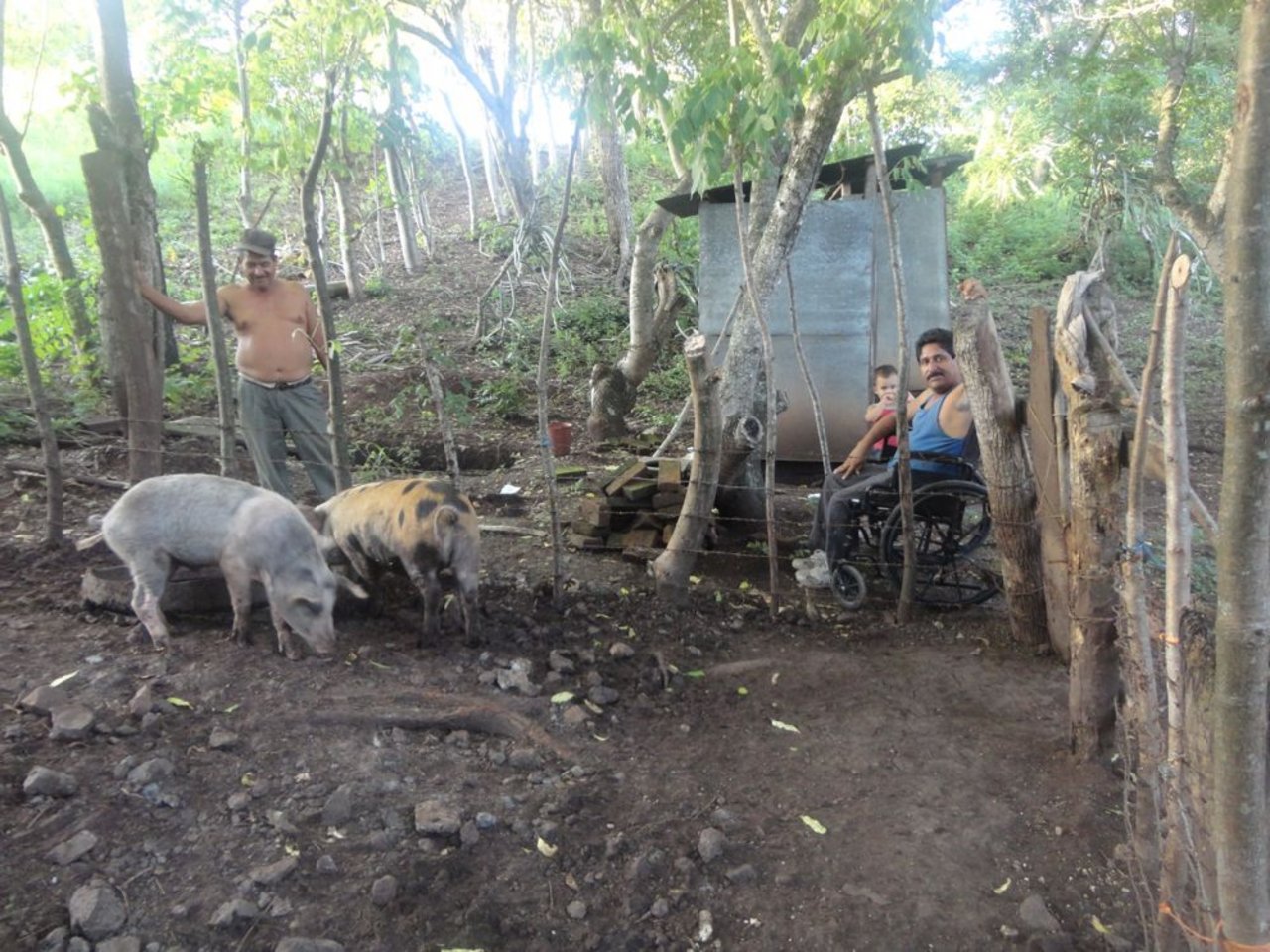 Lässt sich von seiner Behinderung nicht bremsen: Alvaro bei den Schweinen. (Bild Mirka Lötscher)