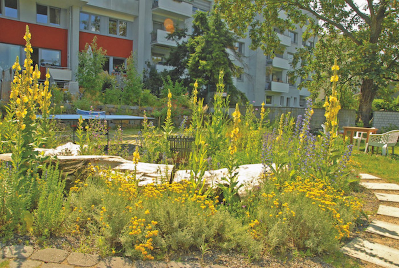 Vögel bevorzugen einheimische Pflanzen. Gut zu wissen, für jene mit Stadtgarten. (Bild zVg)